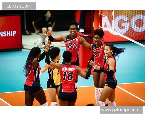 北京排球队灵活性引发热议球迷与专家观点交锋分析