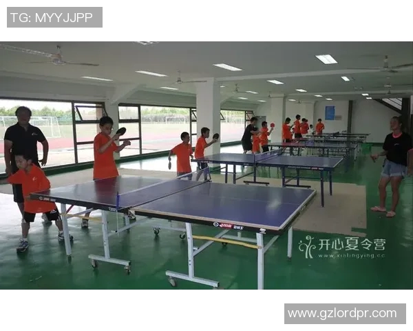 南京乒乓球队区域防守革新之路：战术创新与团队协作的完美结合