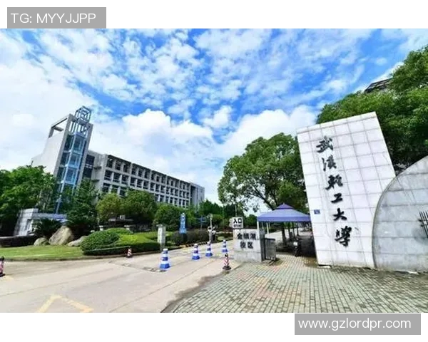 武汉篮球队的奋斗历程与荣耀时刻全景纪实