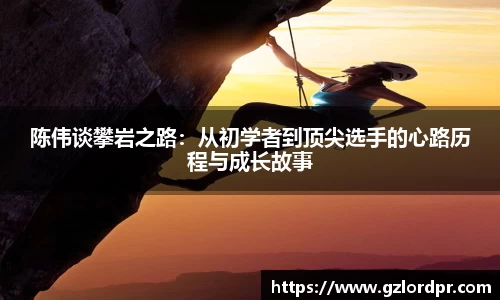 陈伟谈攀岩之路：从初学者到顶尖选手的心路历程与成长故事