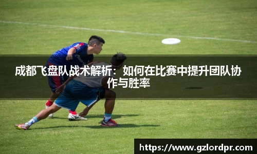 成都飞盘队战术解析：如何在比赛中提升团队协作与胜率