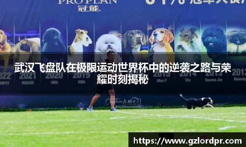 武汉飞盘队在极限运动世界杯中的逆袭之路与荣耀时刻揭秘