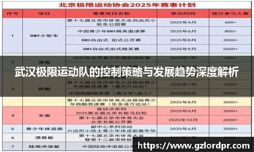武汉极限运动队的控制策略与发展趋势深度解析