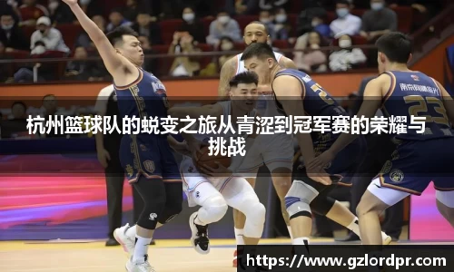 杭州篮球队的蜕变之旅从青涩到冠军赛的荣耀与挑战