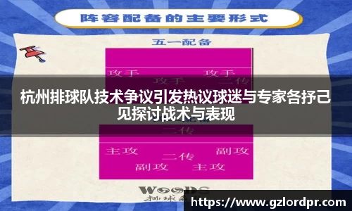 杭州排球队技术争议引发热议球迷与专家各抒己见探讨战术与表现