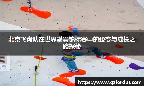 北京飞盘队在世界攀岩锦标赛中的蜕变与成长之路探秘