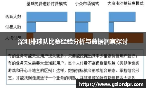 深圳排球队比赛经验分析与数据洞察探讨